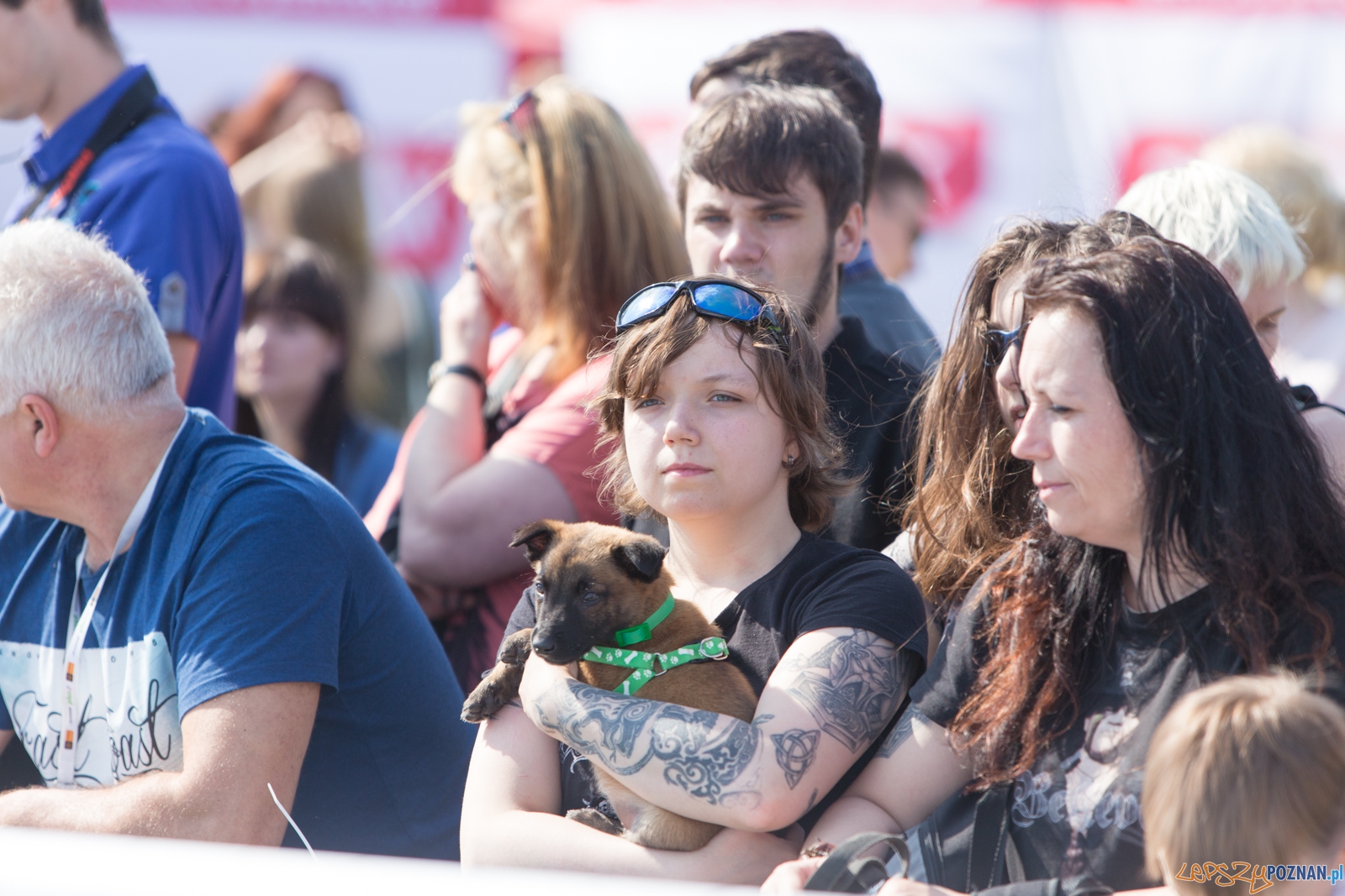 Latajace Psy Foto: lepszyPOZNAN.pl / Piotr Rychter Latajace Psy Foto: lepszyPOZNAN.pl / Piotr Rychter