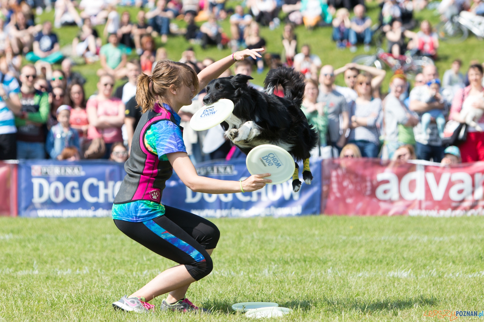 Latajace Psy Foto: lepszyPOZNAN.pl / Piotr Rychter Latajace Psy Foto: lepszyPOZNAN.pl / Piotr Rychter