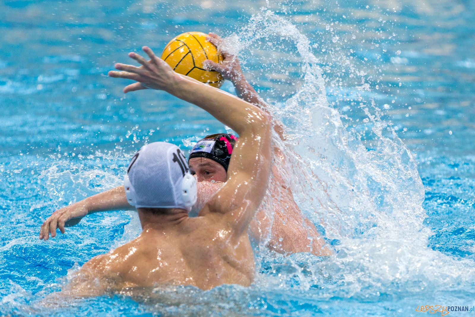KS Waterpolo Poznań - Arkonia Szczecin Foto: lepszyPOZNAN.pl / Piotr Rychter KS Waterpolo Poznań - Arkonia Szczecin Foto: lepszyPOZNAN.pl / Piotr Rychter
