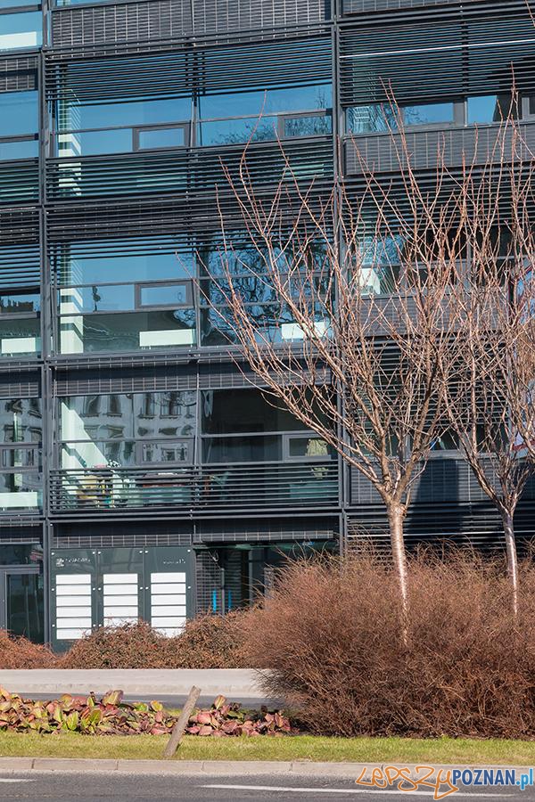 Quadro Office Foto: mat. pras. Quadro Office Foto: mat. pras.