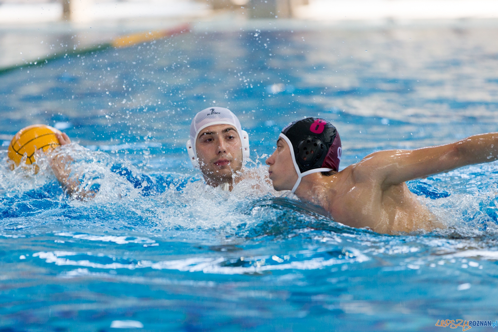 KS Waterpolo Poznań - Arkonia Szczecin Foto: lepszyPOZNAN.pl / Piotr Rychter KS Waterpolo Poznań - Arkonia Szczecin Foto: lepszyPOZNAN.pl / Piotr Rychter