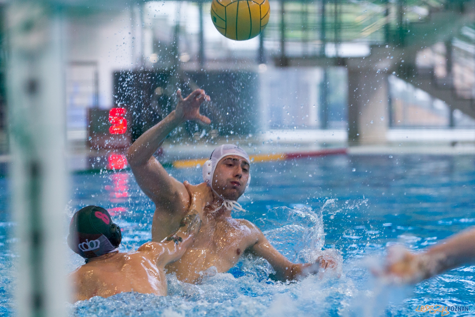 KS Waterpolo Poznań - Arkonia Szczecin Foto: lepszyPOZNAN.pl / Piotr Rychter KS Waterpolo Poznań - Arkonia Szczecin Foto: lepszyPOZNAN.pl / Piotr Rychter