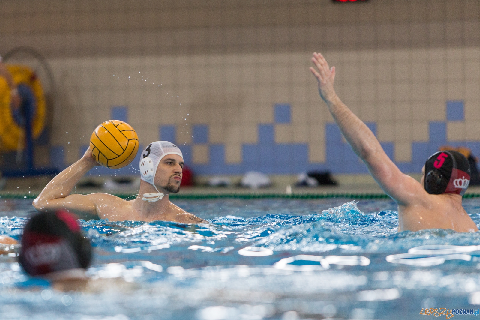 KS Waterpolo Poznań - Arkonia Szczecin Foto: lepszyPOZNAN.pl / Piotr Rychter KS Waterpolo Poznań - Arkonia Szczecin Foto: lepszyPOZNAN.pl / Piotr Rychter