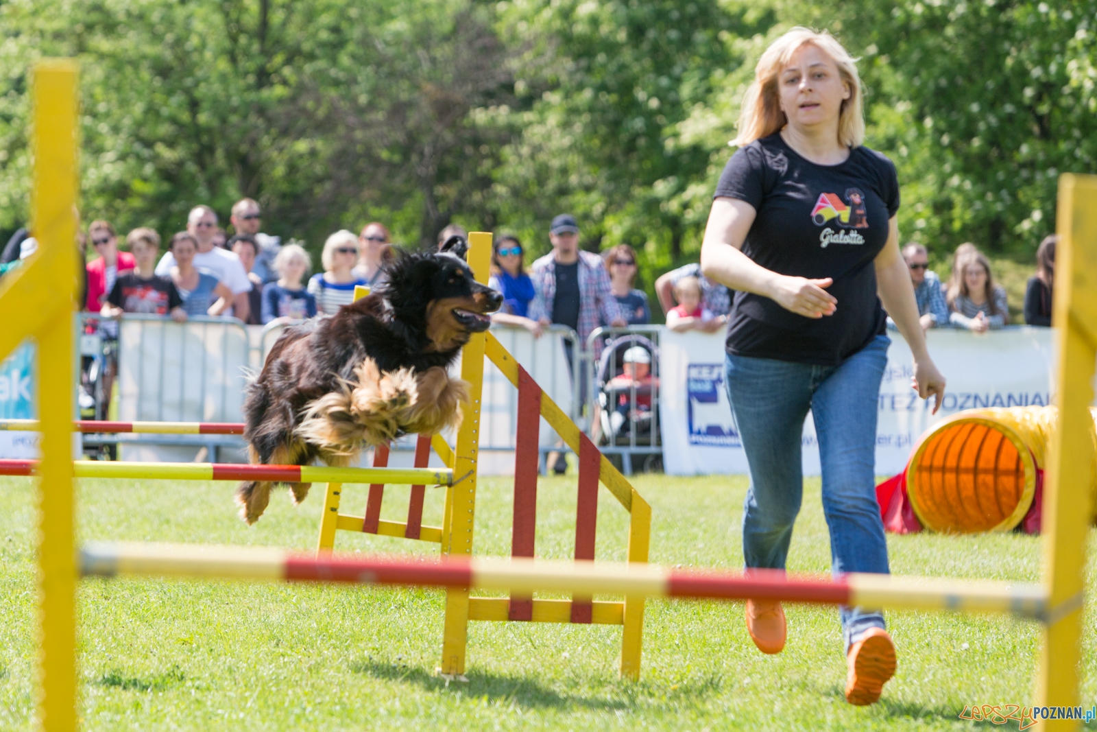 Latajace Psy Foto: lepszyPOZNAN.pl / Piotr Rychter Latajace Psy Foto: lepszyPOZNAN.pl / Piotr Rychter