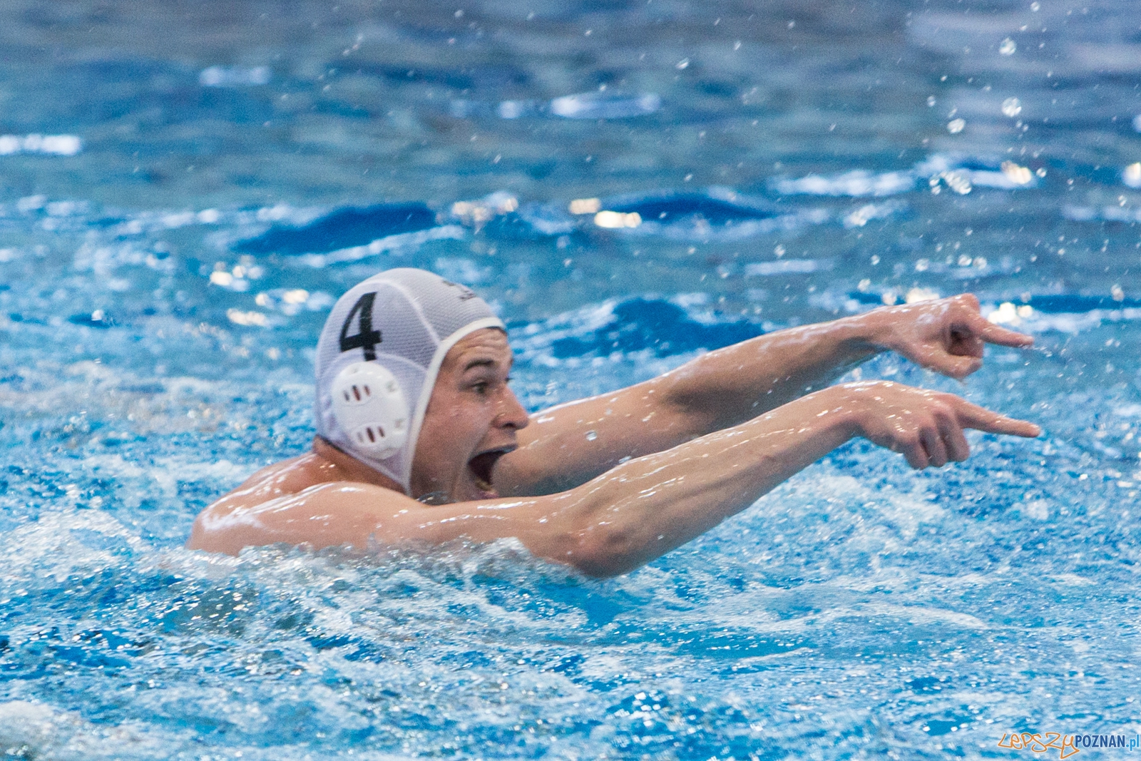 KS Waterpolo Poznań - Arkonia Szczecin Foto: lepszyPOZNAN.pl / Piotr Rychter KS Waterpolo Poznań - Arkonia Szczecin Foto: lepszyPOZNAN.pl / Piotr Rychter