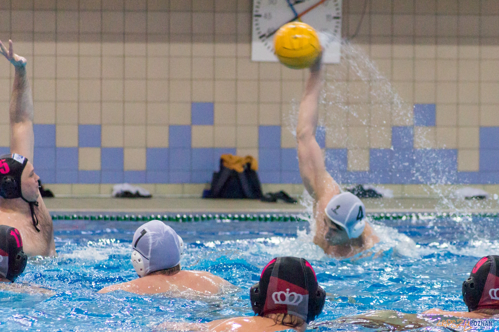 KS Waterpolo Poznań - Arkonia Szczecin Foto: Ewelina Jaśkowiak KS Waterpolo Poznań - Arkonia Szczecin Foto: Ewelina Jaśkowiak