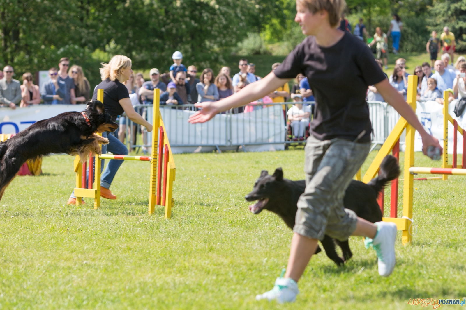 Latajace Psy Foto: lepszyPOZNAN.pl / Piotr Rychter Latajace Psy Foto: lepszyPOZNAN.pl / Piotr Rychter