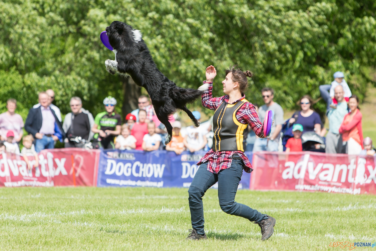 Latajace Psy Foto: lepszyPOZNAN.pl / Piotr Rychter Latajace Psy Foto: lepszyPOZNAN.pl / Piotr Rychter