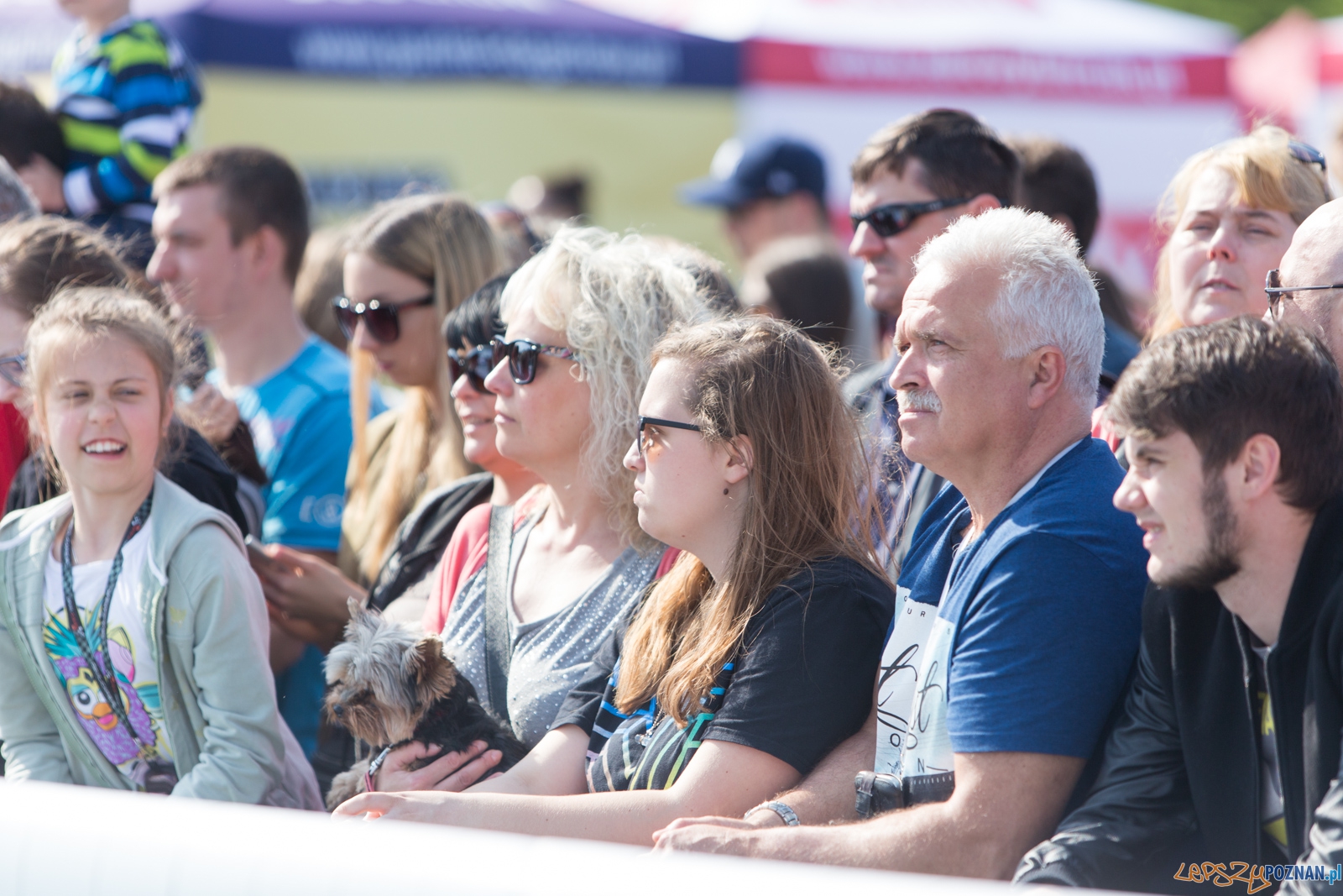 Latajace Psy Foto: lepszyPOZNAN.pl / Piotr Rychter Latajace Psy Foto: lepszyPOZNAN.pl / Piotr Rychter