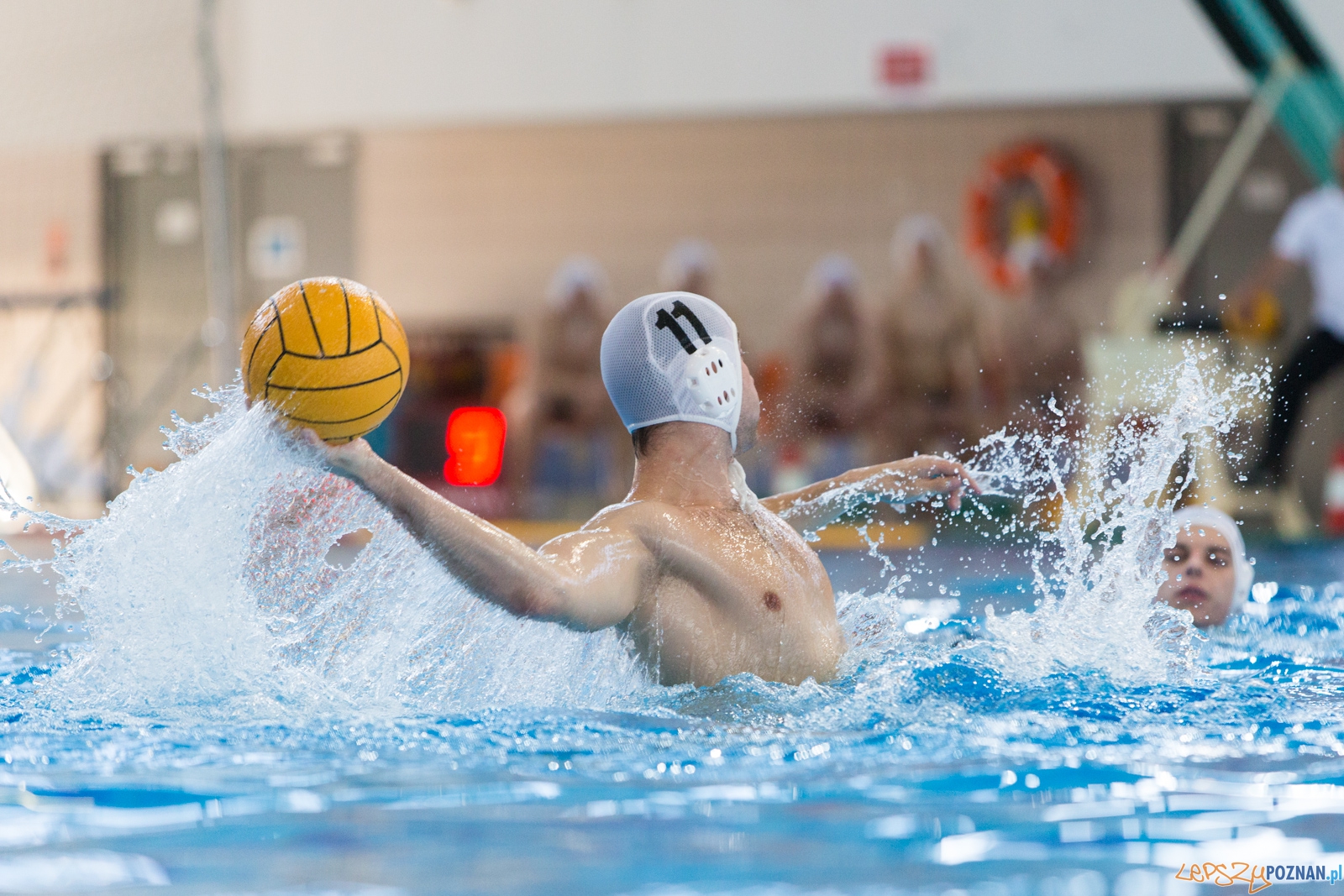 KS Waterpolo Poznań - Arkonia Szczecin Foto: lepszyPOZNAN.pl / Piotr Rychter KS Waterpolo Poznań - Arkonia Szczecin Foto: lepszyPOZNAN.pl / Piotr Rychter