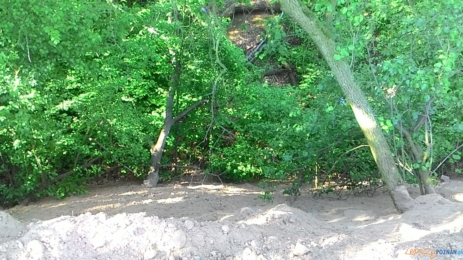 Wywrotką do lasu - nielegale śmieci Foto: Straż Miejska Wywrotką do lasu - nielegale śmieci Foto: Straż Miejska