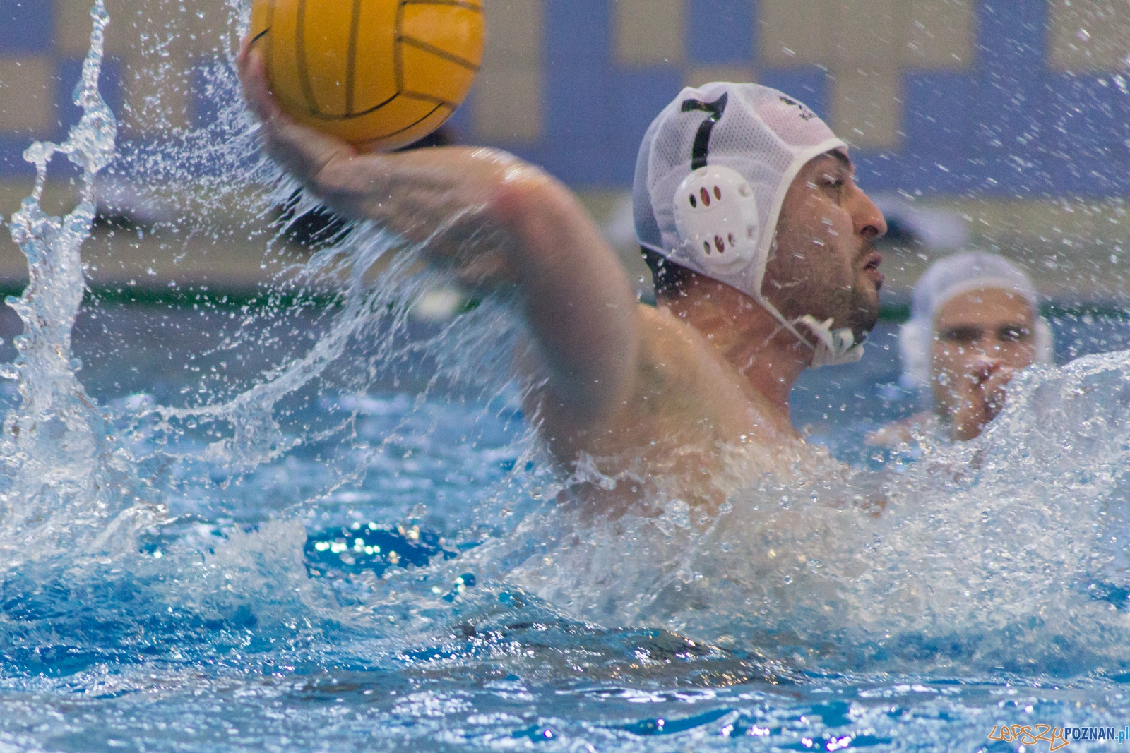 KS Waterpolo Poznań - Arkonia Szczecin Foto: Ewelina Jaśkowiak KS Waterpolo Poznań - Arkonia Szczecin Foto: Ewelina Jaśkowiak