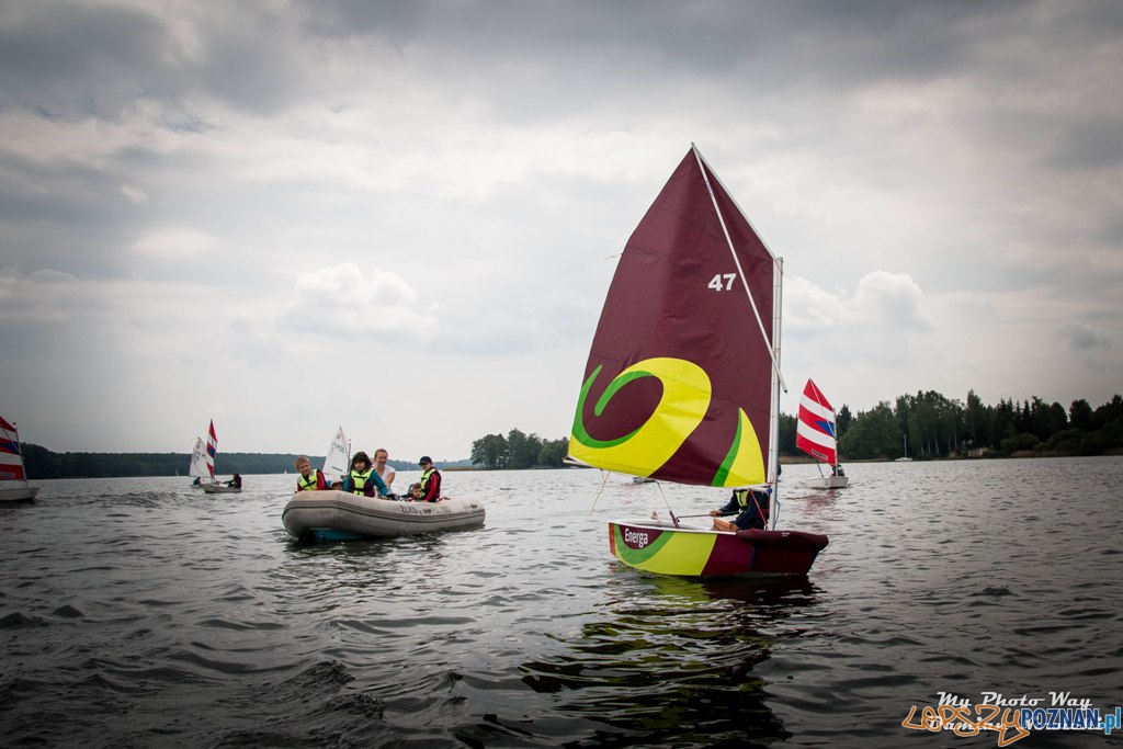 Piknik żeglarski nad jeziorem Kierskim (13) Foto: materiały prasowe / POZŻ Piknik żeglarski nad jeziorem Kierskim (13) Foto: materiały prasowe / POZŻ