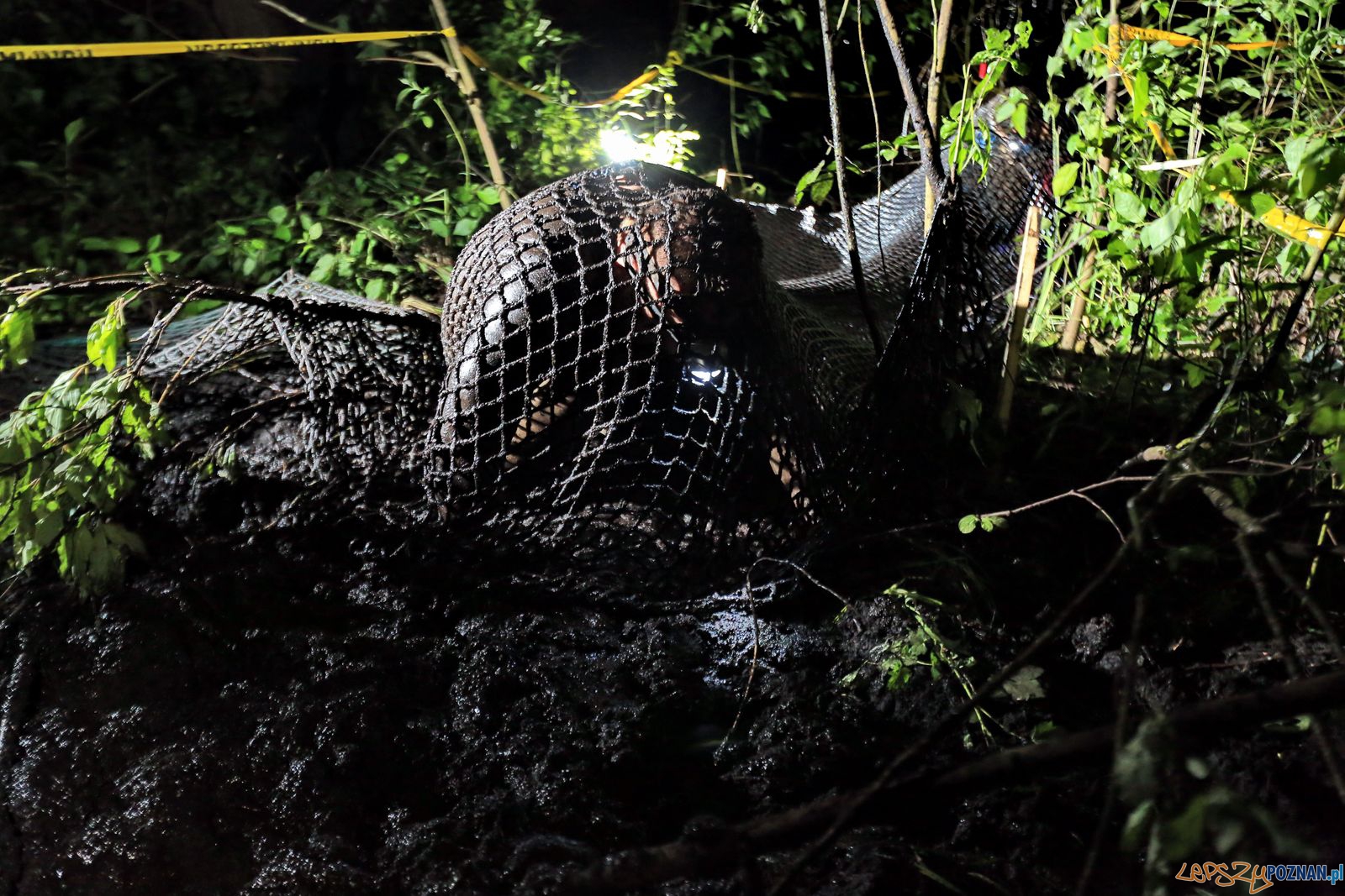 Nocny Runmaggedon (4) Foto: Igor Kohutnicki ADHD Foto Nocny Runmaggedon (4) Foto: Igor Kohutnicki ADHD Foto