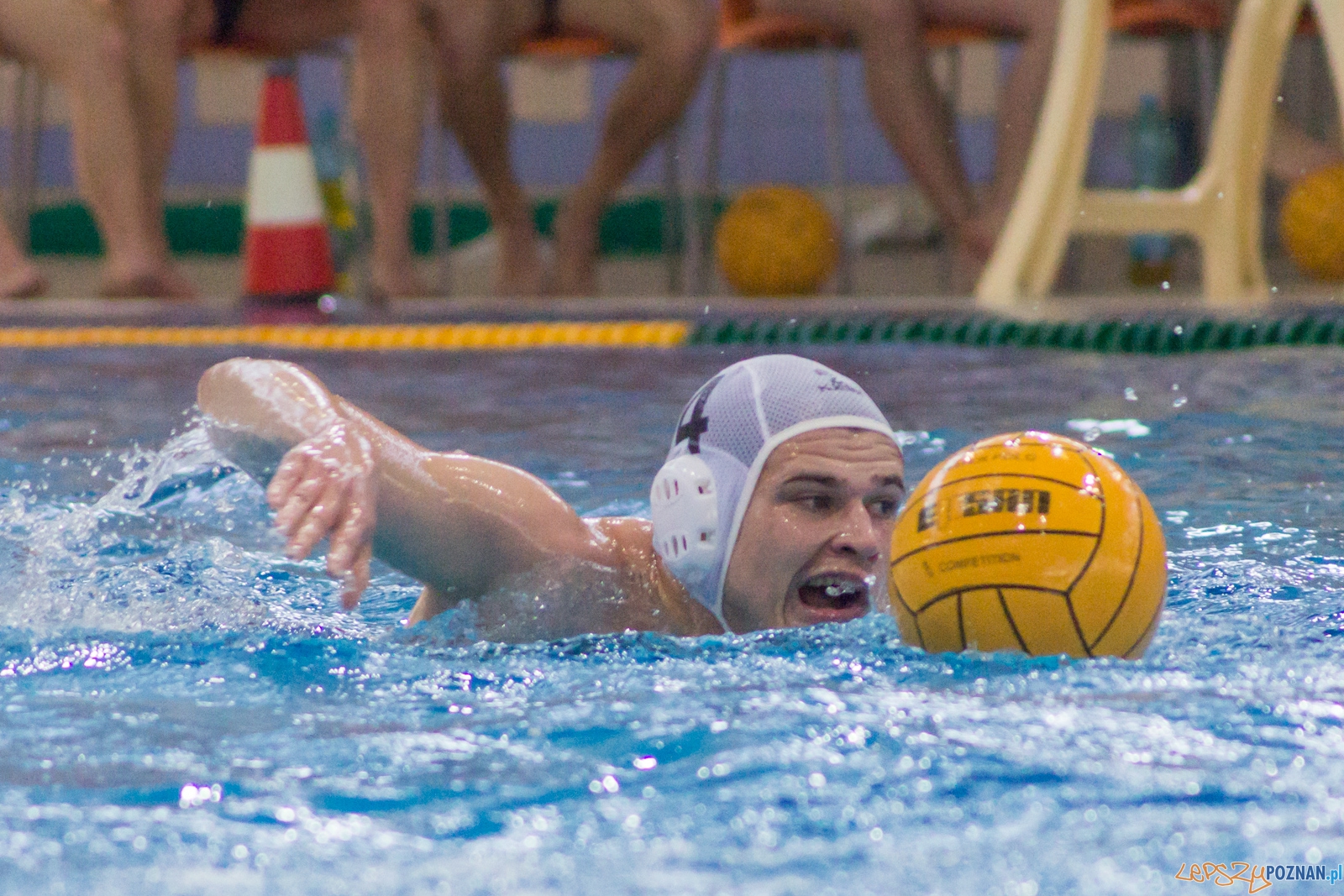 KS Waterpolo Poznań - Arkonia Szczecin Foto: Ewelina Jaśkowiak KS Waterpolo Poznań - Arkonia Szczecin Foto: Ewelina Jaśkowiak