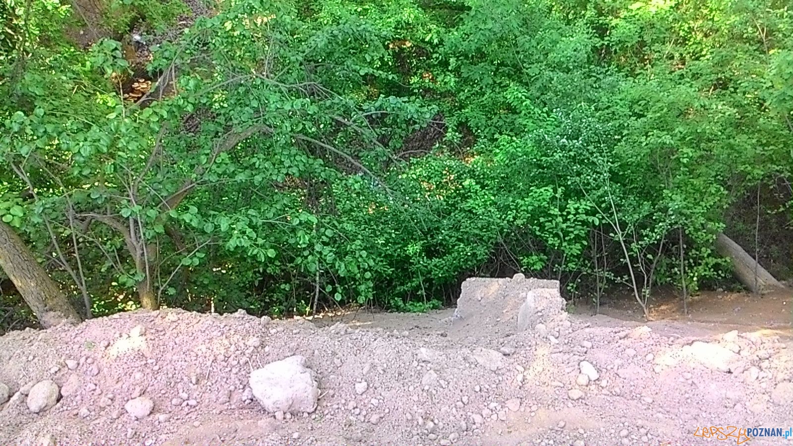 Wywrotką do lasu - nielegale śmieci Foto: Straż Miejska Wywrotką do lasu - nielegale śmieci Foto: Straż Miejska