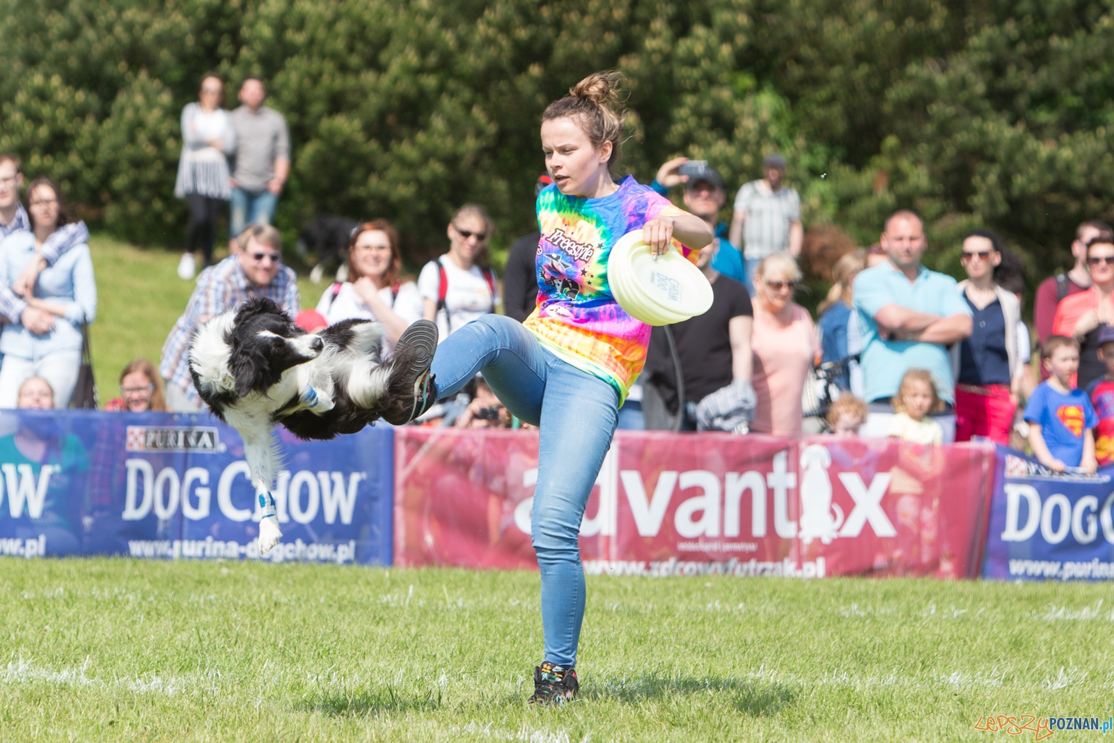 Latajace Psy Foto: lepszyPOZNAN.pl / Piotr Rychter Latajace Psy Foto: lepszyPOZNAN.pl / Piotr Rychter