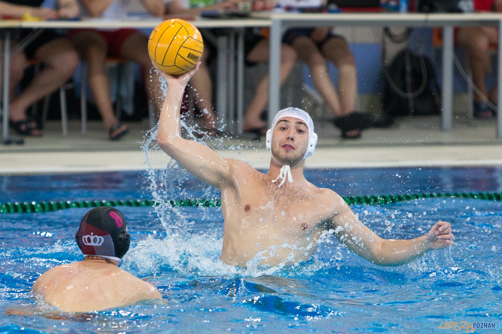 KS Waterpolo Poznań - Arkonia Szczecin Foto: lepszyPOZNAN.pl / Piotr Rychter KS Waterpolo Poznań - Arkonia Szczecin Foto: lepszyPOZNAN.pl / Piotr Rychter