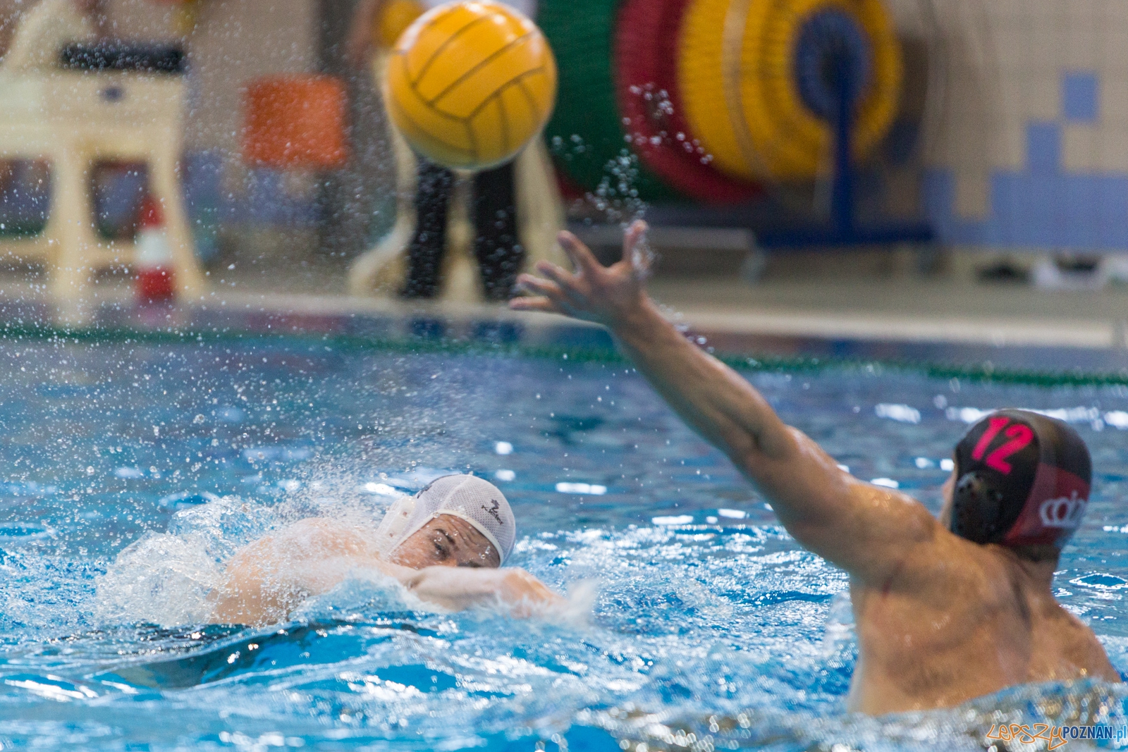 KS Waterpolo Poznań - Arkonia Szczecin Foto: lepszyPOZNAN.pl / Piotr Rychter KS Waterpolo Poznań - Arkonia Szczecin Foto: lepszyPOZNAN.pl / Piotr Rychter
