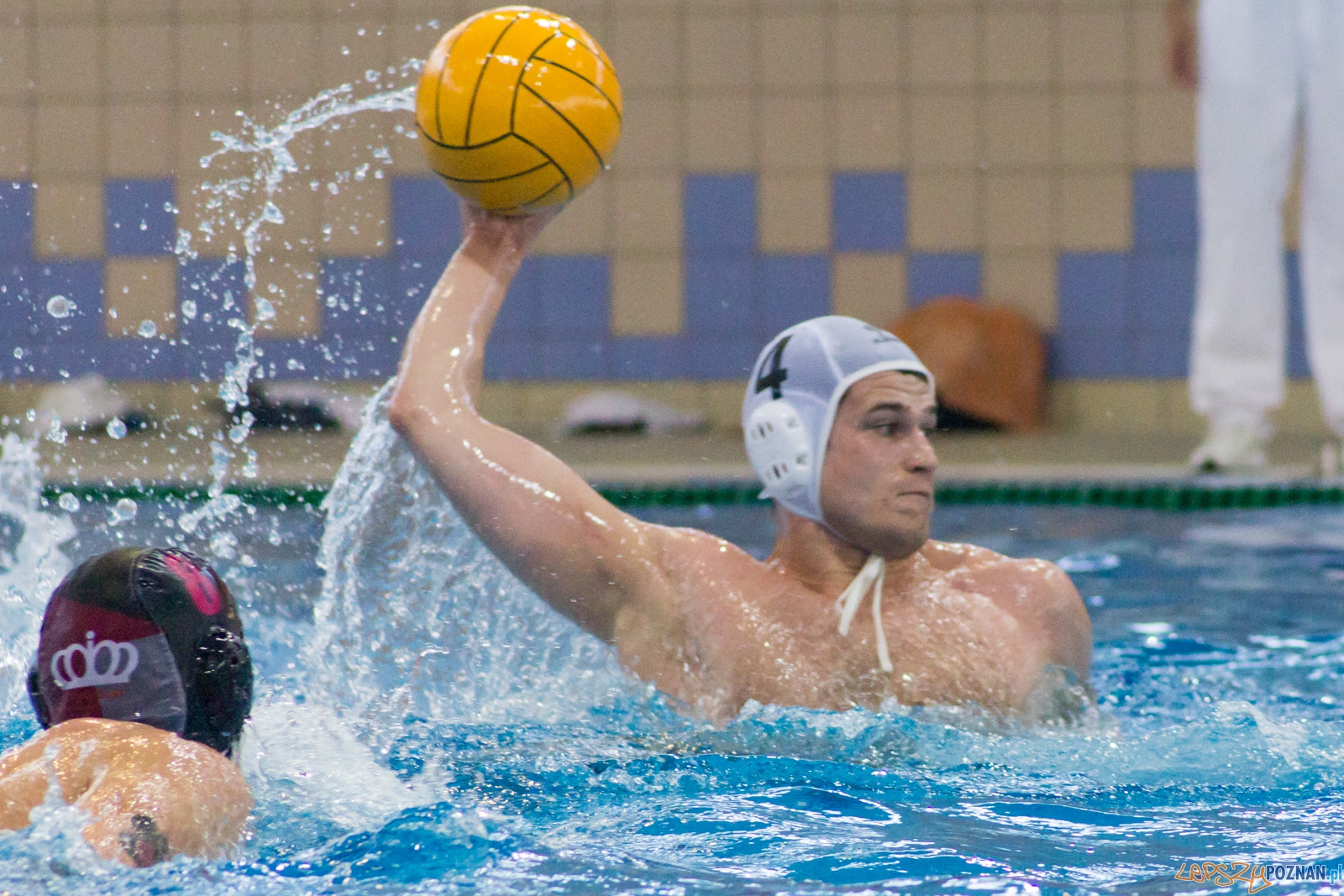 KS Waterpolo Poznań - Arkonia Szczecin Foto: Ewelina Jaśkowiak KS Waterpolo Poznań - Arkonia Szczecin Foto: Ewelina Jaśkowiak