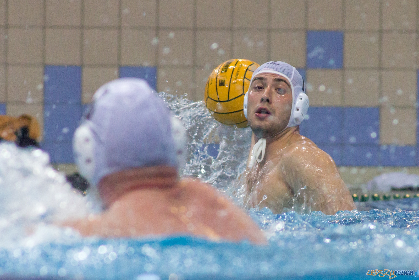 KS Waterpolo Poznań - Arkonia Szczecin Foto: Ewelina Jaśkowiak KS Waterpolo Poznań - Arkonia Szczecin Foto: Ewelina Jaśkowiak