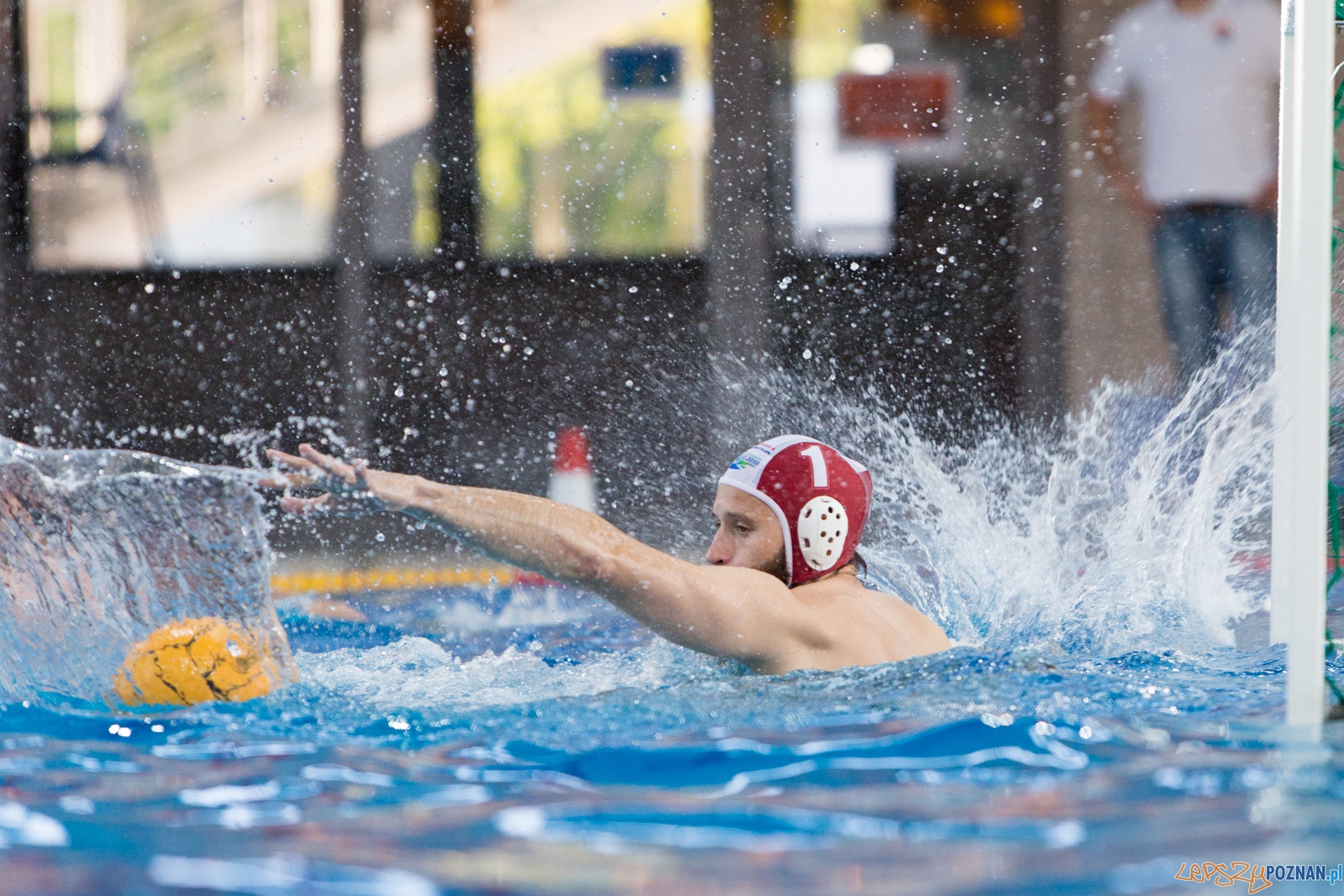 KS Waterpolo Poznań - Arkonia Szczecin Foto: lepszyPOZNAN.pl / Piotr Rychter KS Waterpolo Poznań - Arkonia Szczecin Foto: lepszyPOZNAN.pl / Piotr Rychter