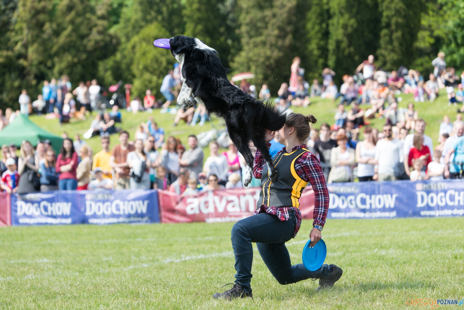 Latajace Psy Foto: lepszyPOZNAN.pl / Piotr Rychter Latajace Psy Foto: lepszyPOZNAN.pl / Piotr Rychter