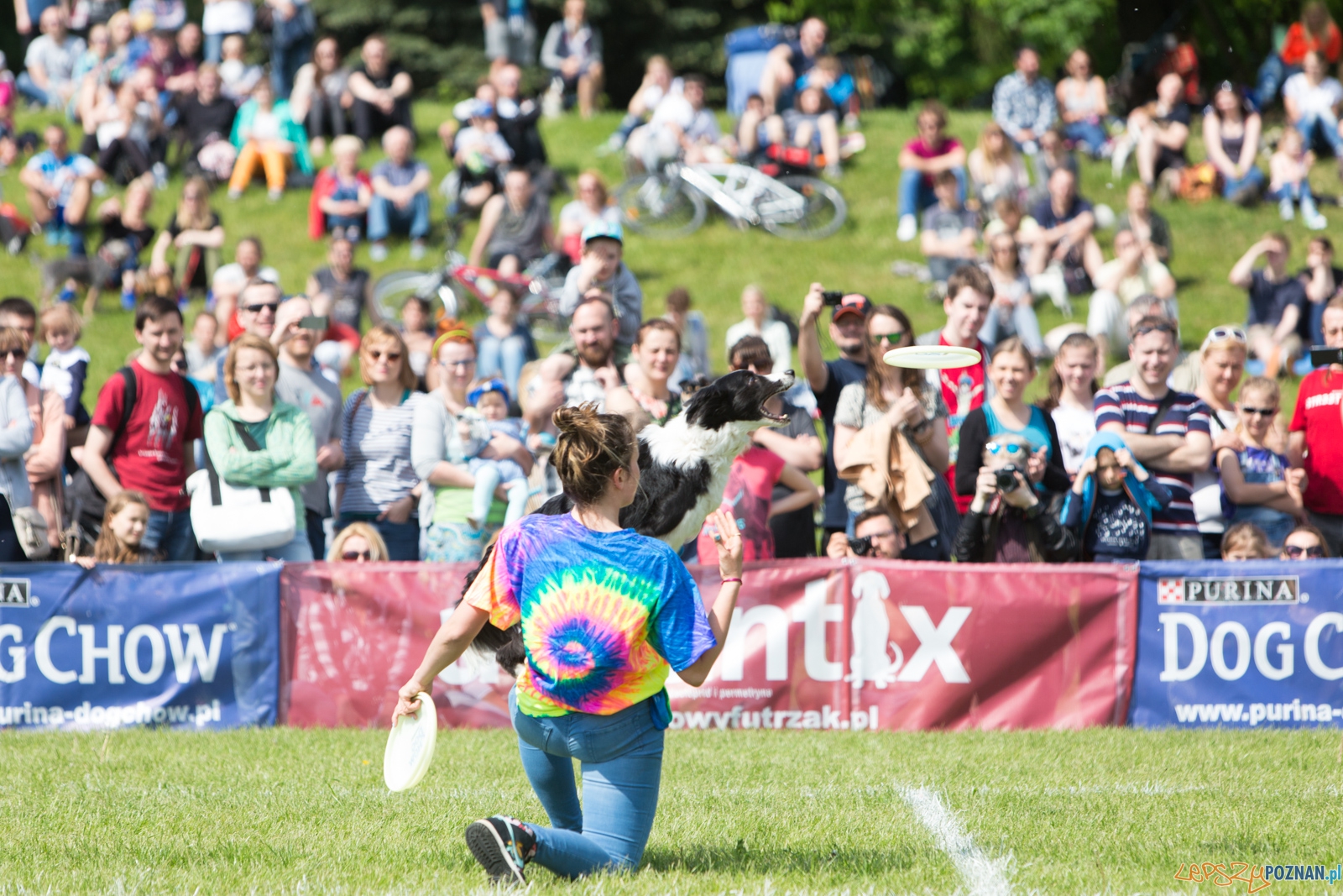 Latajace Psy Foto: lepszyPOZNAN.pl / Piotr Rychter Latajace Psy Foto: lepszyPOZNAN.pl / Piotr Rychter