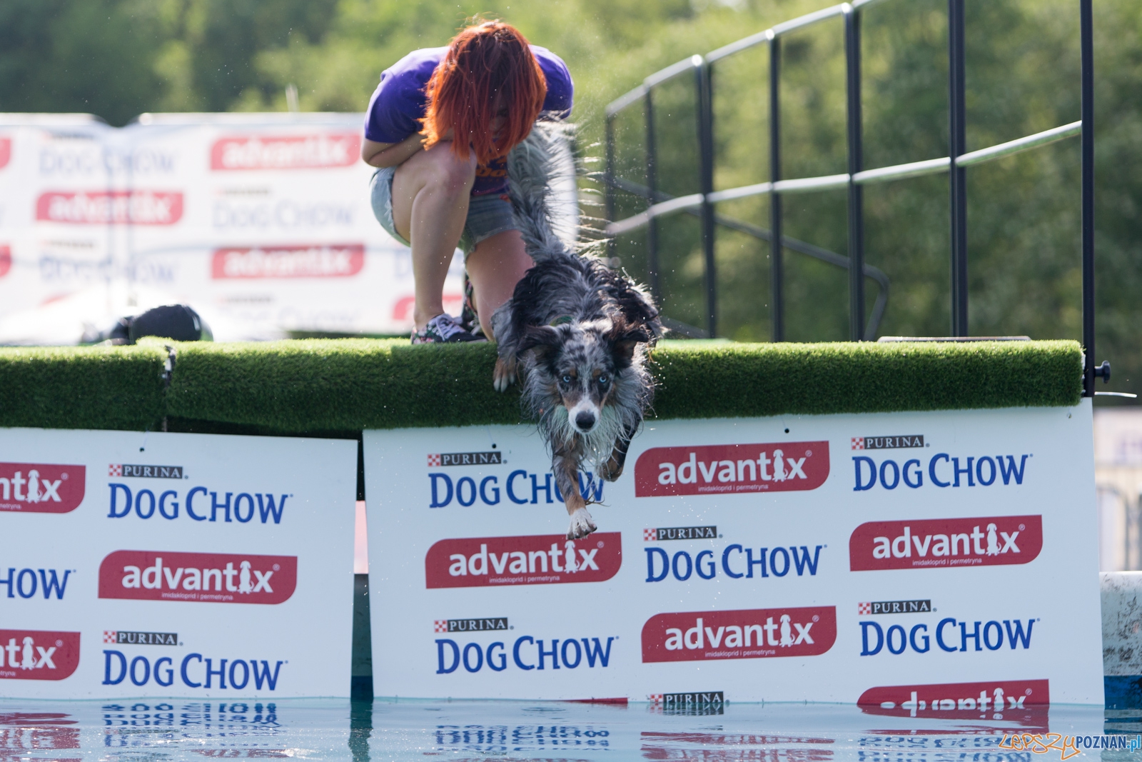 Latajace Psy Foto: lepszyPOZNAN.pl / Piotr Rychter Latajace Psy Foto: lepszyPOZNAN.pl / Piotr Rychter