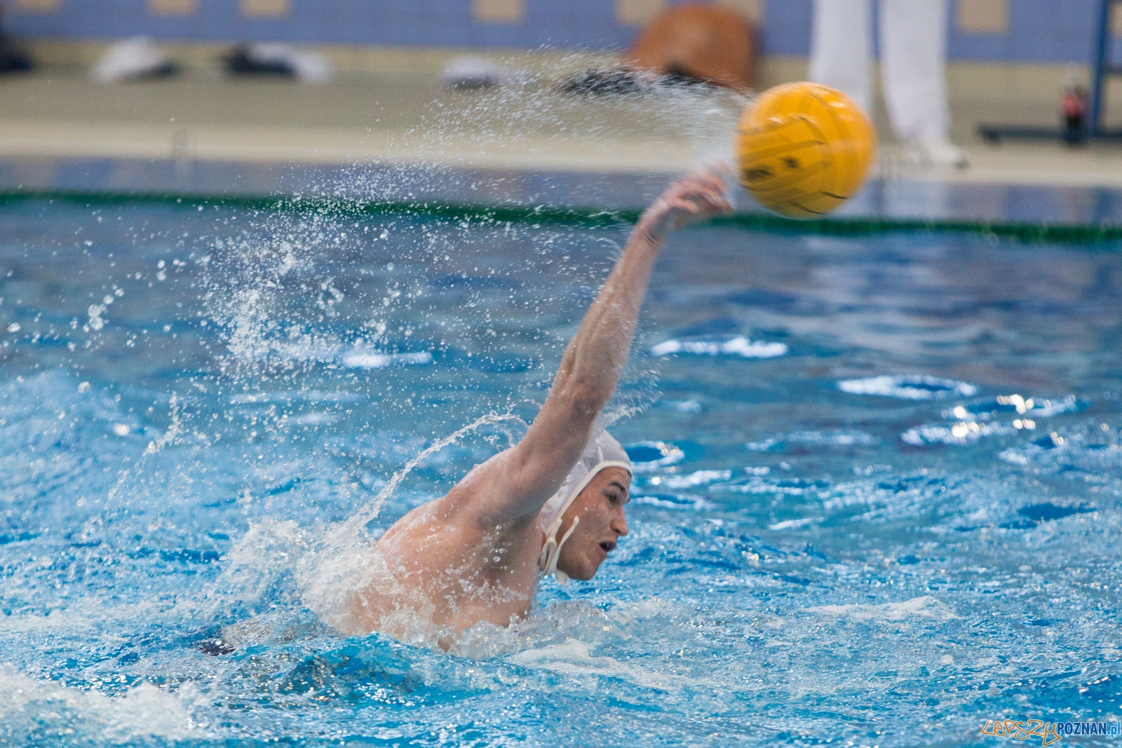 KS Waterpolo Poznań - Arkonia Szczecin Foto: lepszyPOZNAN.pl / Piotr Rychter KS Waterpolo Poznań - Arkonia Szczecin Foto: lepszyPOZNAN.pl / Piotr Rychter