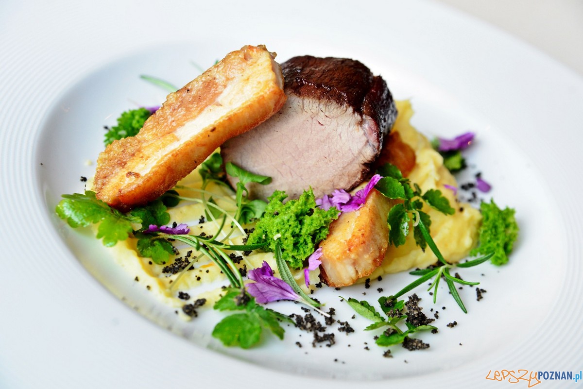 9.Niku - Schab z dzika prasowany bekonpuree ziemniaczano- ziołowe świeże pokrzywy mech ziołowy palona t Foto: 9.Niku - Schab z dzika prasowany bekonpuree ziemniaczano- ziołowe świeże pokrzywy mech ziołowy palona t Foto: