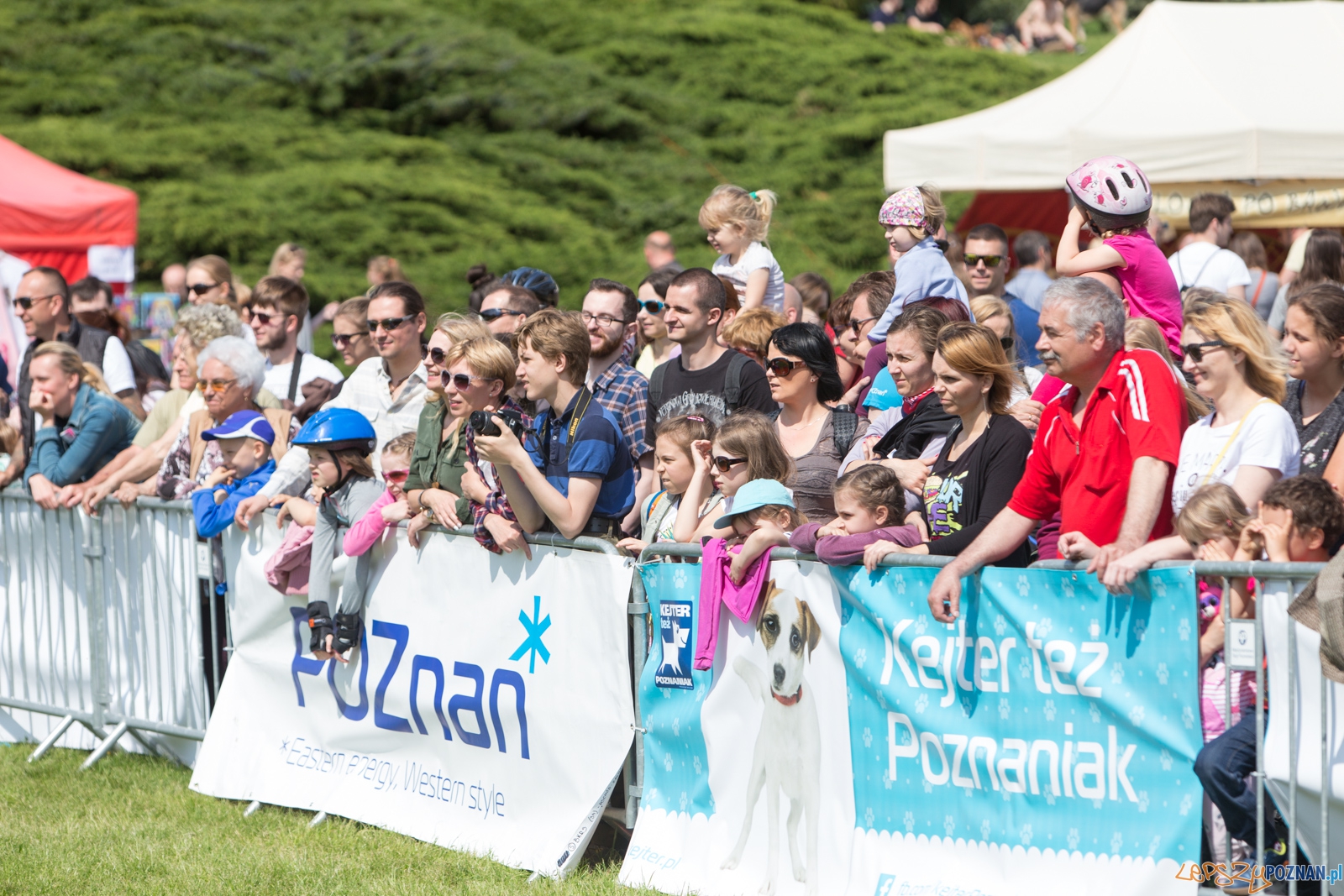 Latajace Psy Foto: lepszyPOZNAN.pl / Piotr Rychter Latajace Psy Foto: lepszyPOZNAN.pl / Piotr Rychter