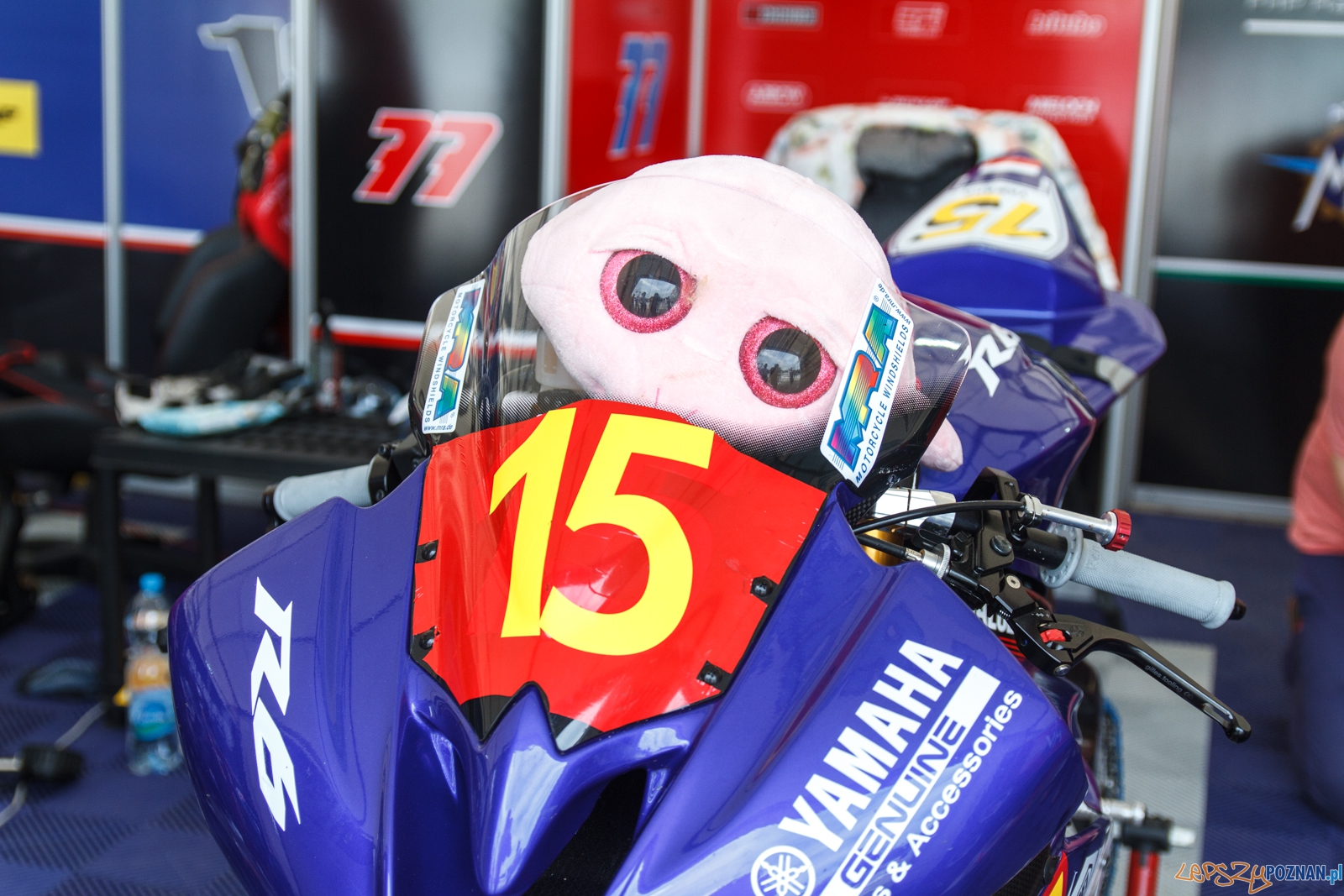 Wyścigowe Motocyklowe Mistrzostwa Polski runda 1 - Poznań 21.0 Foto: LepszyPOZNAN.pl / Paweł Rychter Wyścigowe Motocyklowe Mistrzostwa Polski runda 1 - Poznań 21.0 Foto: LepszyPOZNAN.pl / Paweł Rychter