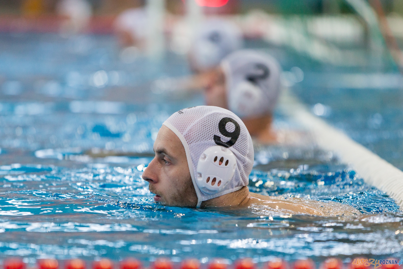 KS Waterpolo Poznań - Arkonia Szczecin Foto: lepszyPOZNAN.pl / Piotr Rychter KS Waterpolo Poznań - Arkonia Szczecin Foto: lepszyPOZNAN.pl / Piotr Rychter