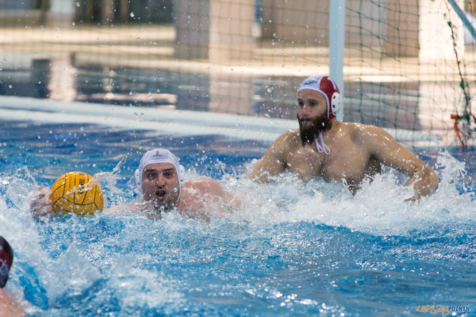 KS Waterpolo Poznań - Arkonia Szczecin Foto: lepszyPOZNAN.pl / Piotr Rychter KS Waterpolo Poznań - Arkonia Szczecin Foto: lepszyPOZNAN.pl / Piotr Rychter