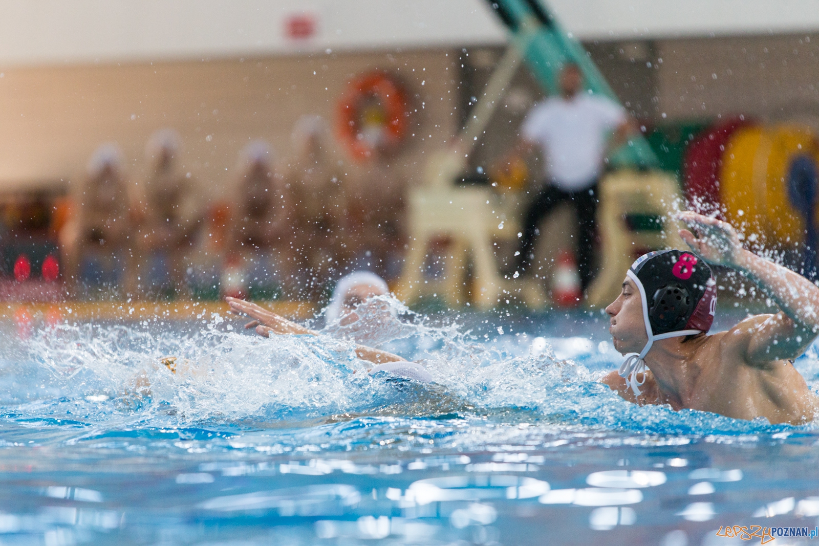 KS Waterpolo Poznań - Arkonia Szczecin Foto: lepszyPOZNAN.pl / Piotr Rychter KS Waterpolo Poznań - Arkonia Szczecin Foto: lepszyPOZNAN.pl / Piotr Rychter