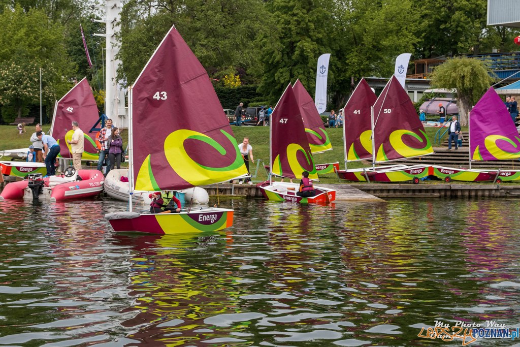 Piknik żeglarski nad jeziorem Kierskim (4) Foto: materiały prasowe / POZŻ Piknik żeglarski nad jeziorem Kierskim (4) Foto: materiały prasowe / POZŻ
