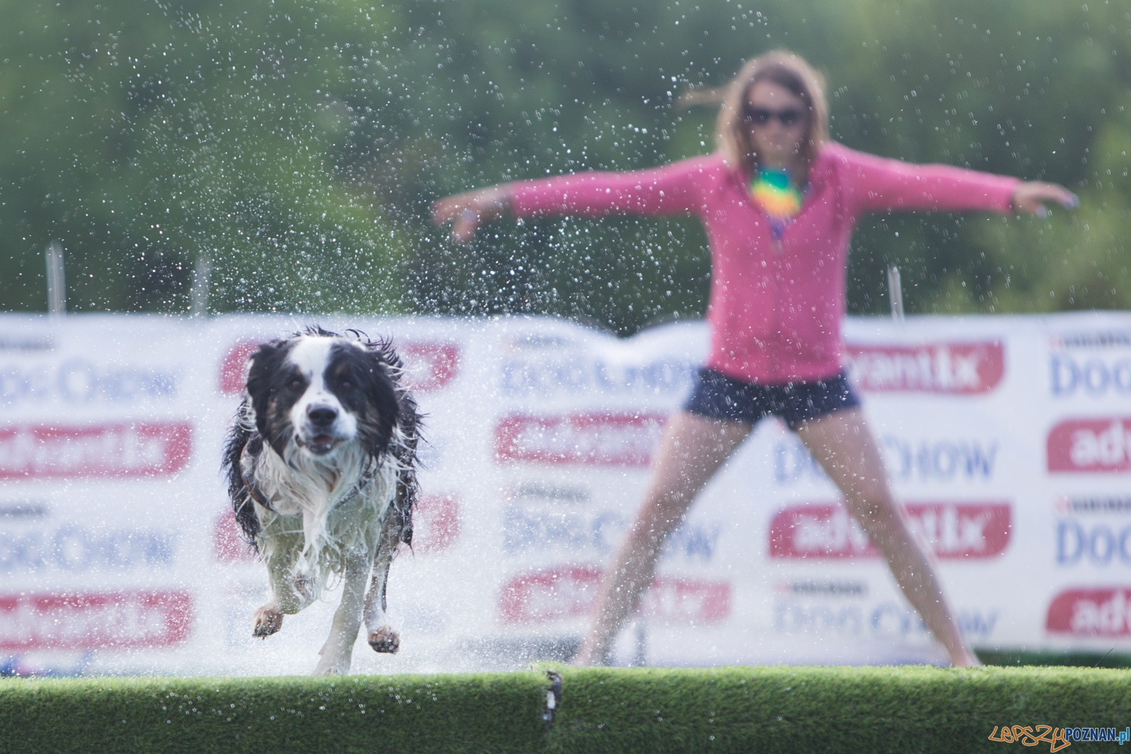 Latajace Psy Foto: lepszyPOZNAN.pl / Piotr Rychter Latajace Psy Foto: lepszyPOZNAN.pl / Piotr Rychter