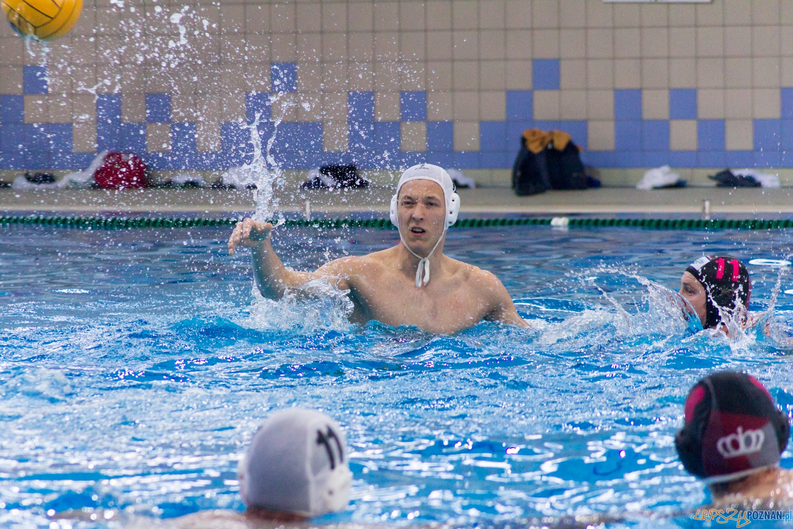 KS Waterpolo Poznań - Arkonia Szczecin Foto: Ewelina Jaśkowiak KS Waterpolo Poznań - Arkonia Szczecin Foto: Ewelina Jaśkowiak