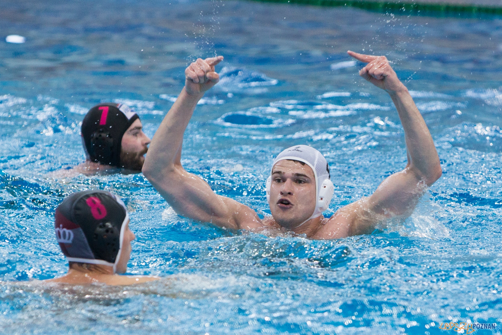 KS Waterpolo Poznań - Arkonia Szczecin Foto: lepszyPOZNAN.pl / Piotr Rychter KS Waterpolo Poznań - Arkonia Szczecin Foto: lepszyPOZNAN.pl / Piotr Rychter