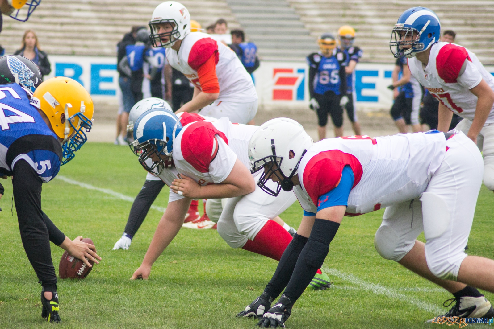 Patrioci Poznań Foto: Ewelina Jaśkowiak Patrioci Poznań Foto: Ewelina Jaśkowiak