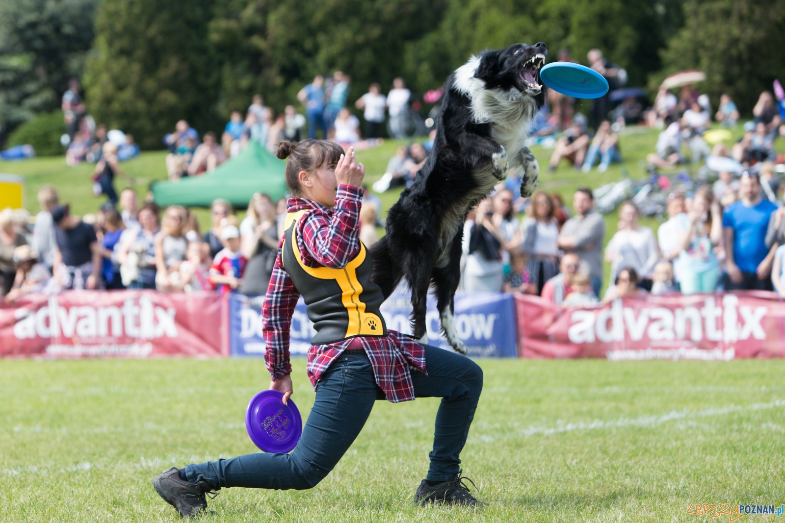 Latajace Psy Foto: lepszyPOZNAN.pl / Piotr Rychter Latajace Psy Foto: lepszyPOZNAN.pl / Piotr Rychter