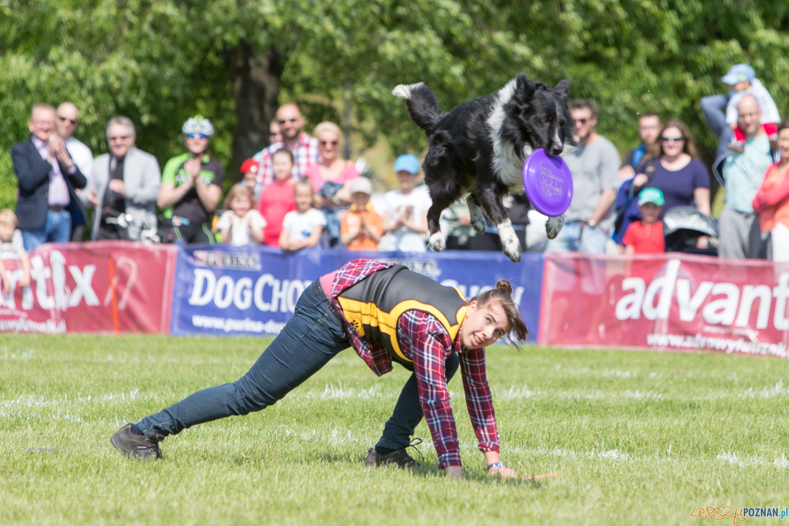 Latajace Psy Foto: lepszyPOZNAN.pl / Piotr Rychter Latajace Psy Foto: lepszyPOZNAN.pl / Piotr Rychter