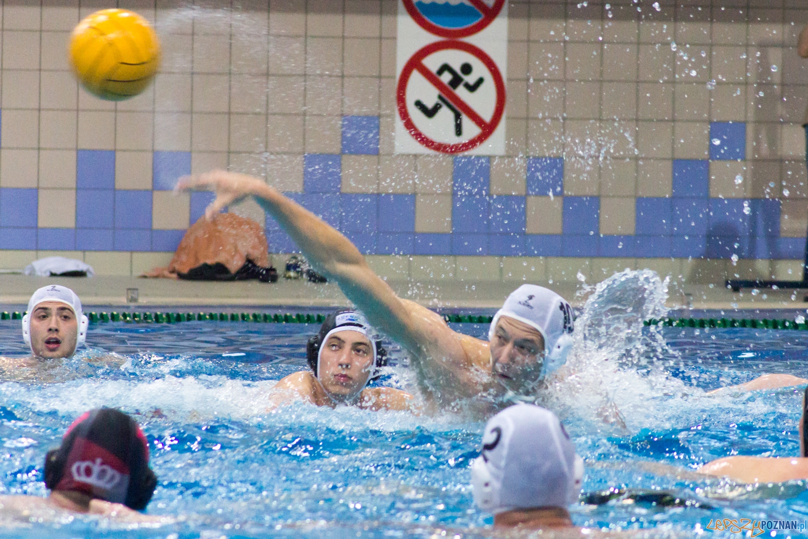 KS Waterpolo Poznań - Arkonia Szczecin Foto: Ewelina Jaśkowiak KS Waterpolo Poznań - Arkonia Szczecin Foto: Ewelina Jaśkowiak