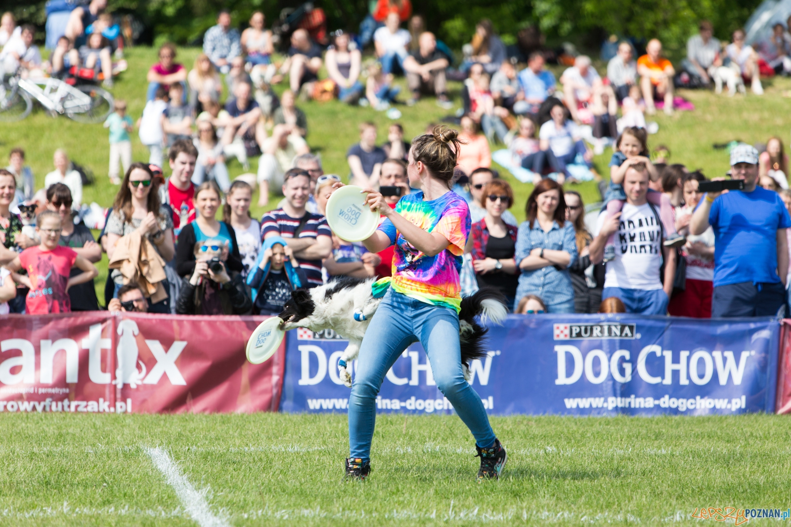 Latajace Psy Foto: lepszyPOZNAN.pl / Piotr Rychter Latajace Psy Foto: lepszyPOZNAN.pl / Piotr Rychter