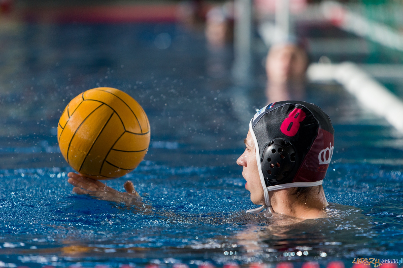 KS Waterpolo Poznań - Arkonia Szczecin Foto: lepszyPOZNAN.pl / Piotr Rychter KS Waterpolo Poznań - Arkonia Szczecin Foto: lepszyPOZNAN.pl / Piotr Rychter