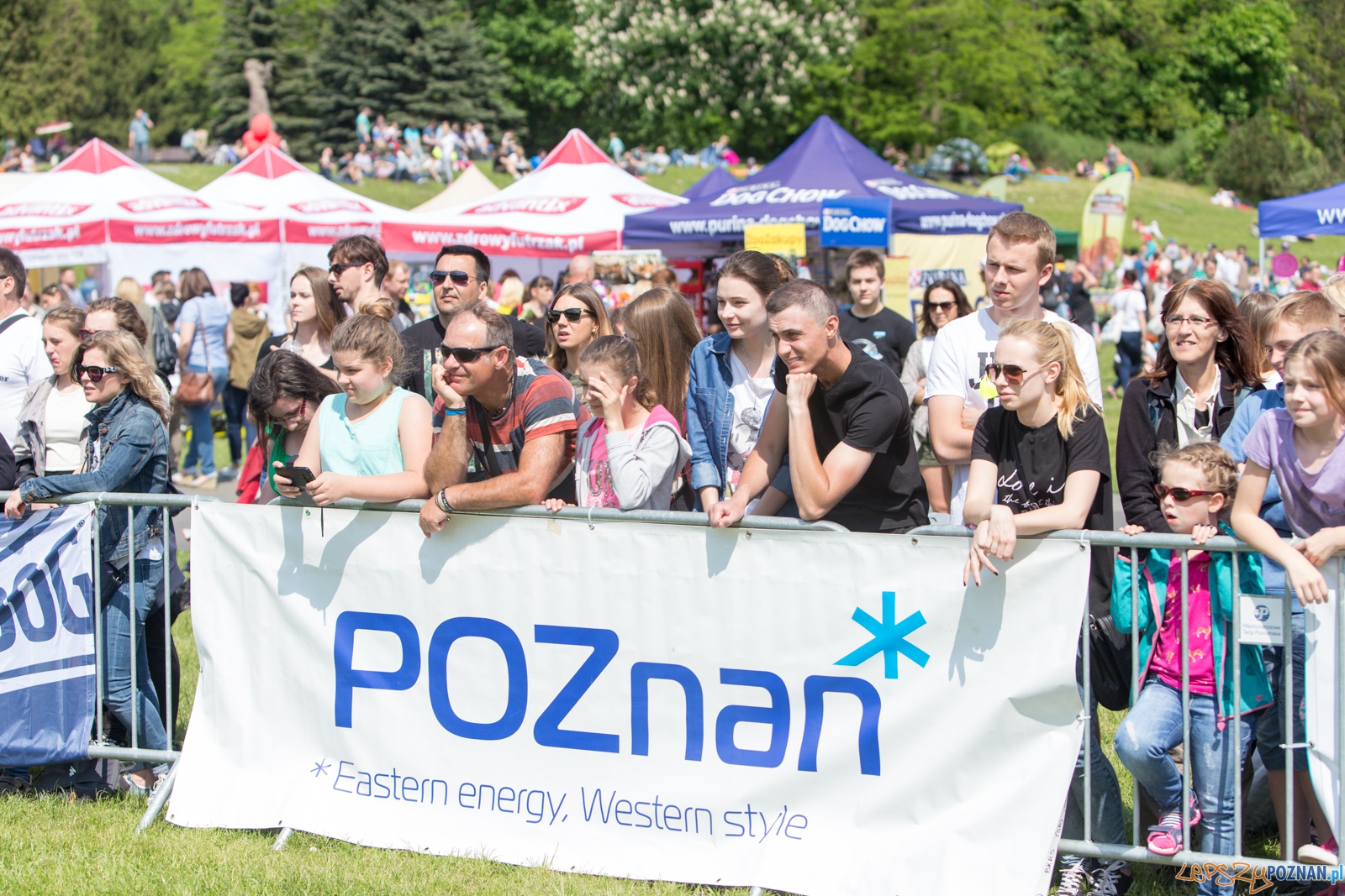 Latajace Psy Foto: lepszyPOZNAN.pl / Piotr Rychter Latajace Psy Foto: lepszyPOZNAN.pl / Piotr Rychter