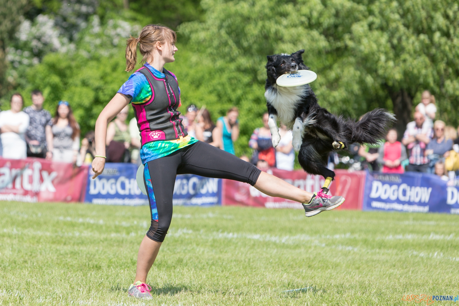 Latajace Psy Foto: lepszyPOZNAN.pl / Piotr Rychter Latajace Psy Foto: lepszyPOZNAN.pl / Piotr Rychter