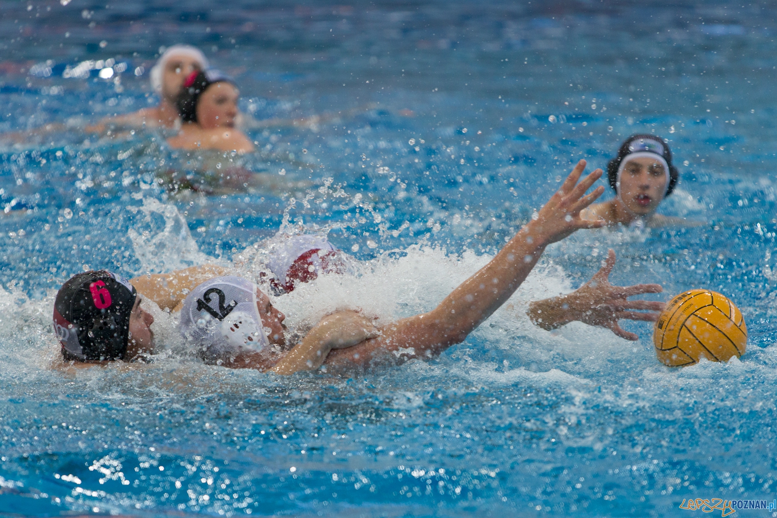 KS Waterpolo Poznań - Arkonia Szczecin Foto: lepszyPOZNAN.pl / Piotr Rychter KS Waterpolo Poznań - Arkonia Szczecin Foto: lepszyPOZNAN.pl / Piotr Rychter