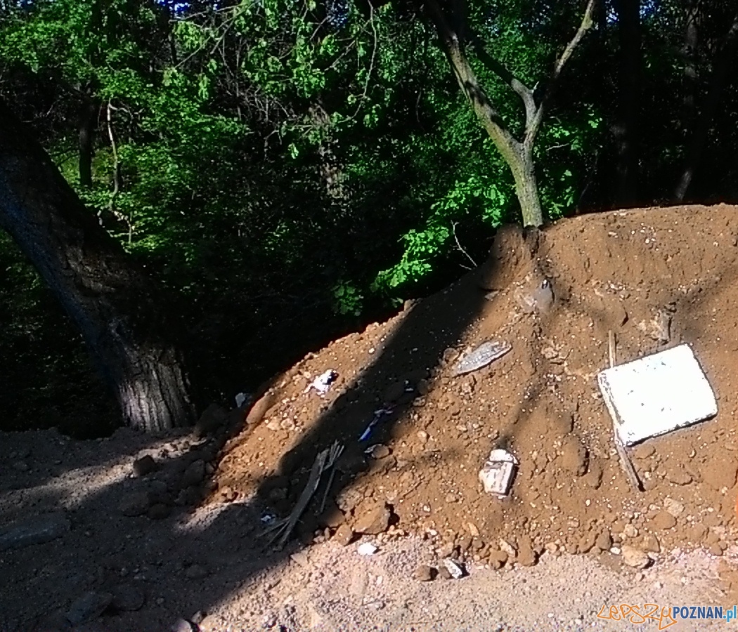 Wywrotką do lasu - nielegale śmieci Foto: Straż Miejska Wywrotką do lasu - nielegale śmieci Foto: Straż Miejska